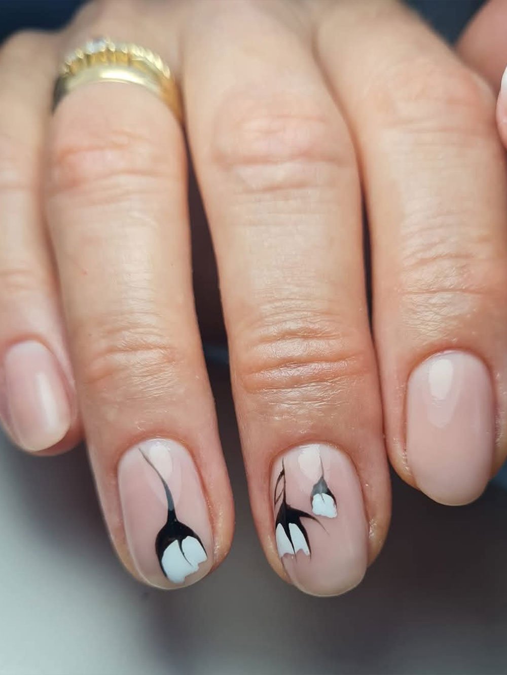 denica-predstavqne-6